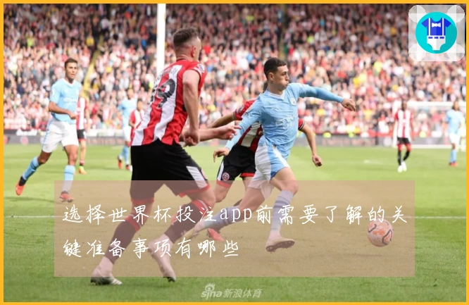 选择世界杯投注app前需要了解的关键准备事项有哪些