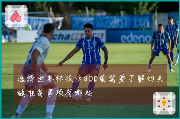 选择世界杯投注app前需要了解的关键准备事项有哪些