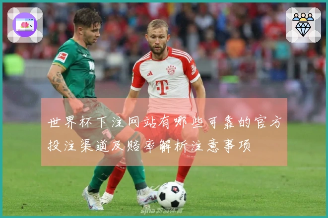 世界杯下注网站有哪些可靠的官方投注渠道及赔率解析注意事项